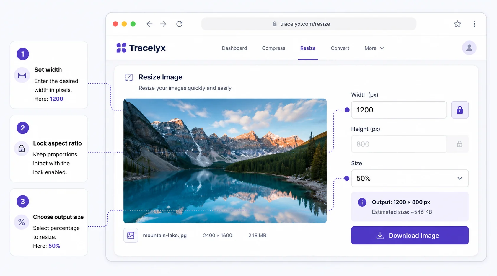 Tracelyx Resize step-by-step guide
